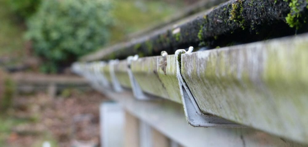 Gutters Or Downspouts