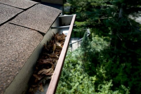 Clogged gutters 
